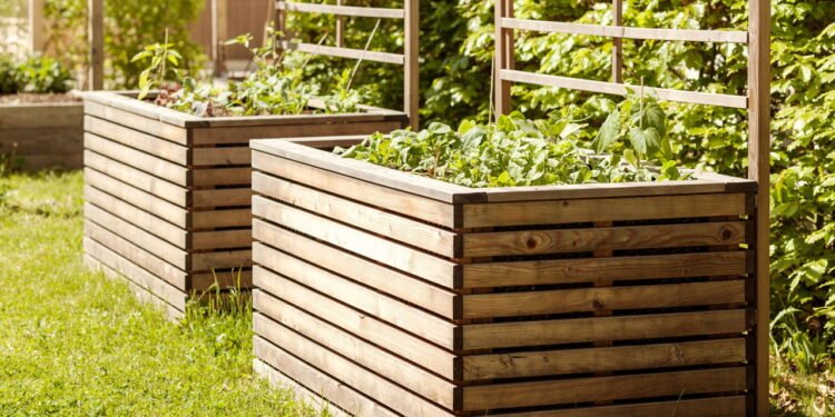 Como Fazer um Canteiro Elevado para Facilitar a Jardinagem em casa Créditos: depositphotos.com / Serdynska