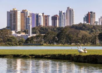 Essas cidade brasileira é conhecida como 'cidade inteligente'