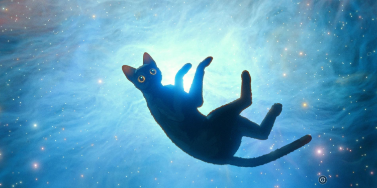 Filme vencedor do Oscar é feito com aplicativo grátis! Saiba baixar