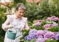 Dicas para criar um jardim de hortênsias coloridas que vai impressionar