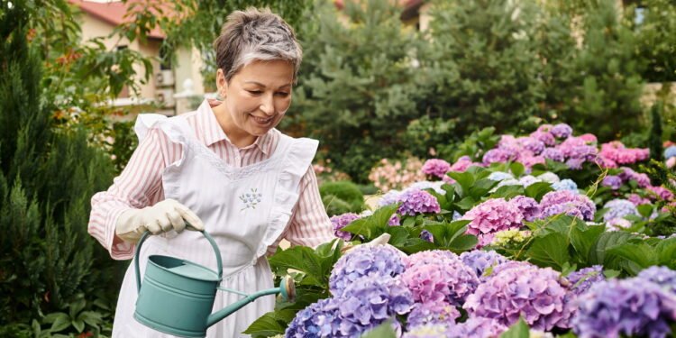 Dicas para criar um jardim de hortênsias coloridas que vai impressionar