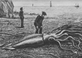 Criaturas bizarras habitam lugar devastado pela Segunda Guerra