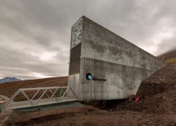 O “Cofre do Juízo Final” recebeu 14 mil novas amostras nessa semana!