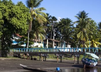 A capital baiana do caranguejo e sua história fascinante