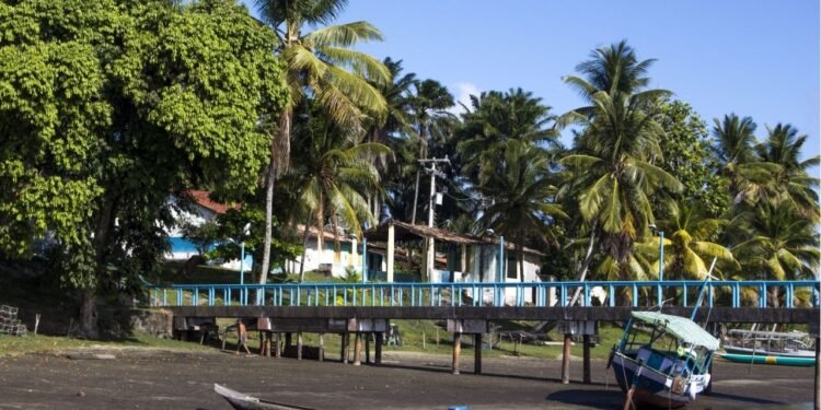 A capital baiana do caranguejo e sua história fascinante