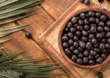 Dicas simples de como plantar açaí em casa