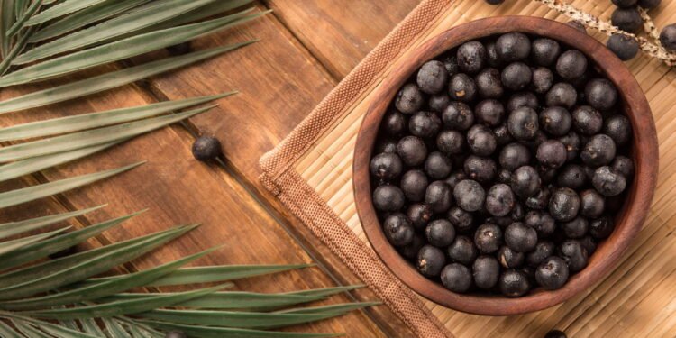 Dicas simples de como plantar açaí em casa