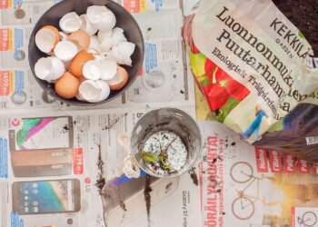 Diga adeus ao desperdício! Transforme restos de alimentos em adubo natural