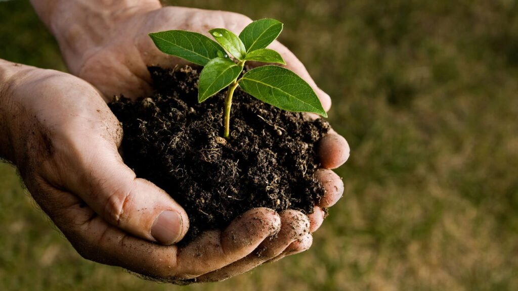 adubo Créditos: depositphotos.com / ridofranz