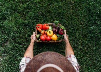Você sabia que sons "V" e "F" surgiram na fala através da agricultura?