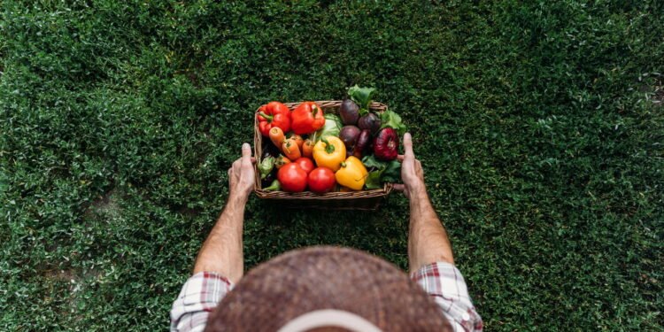 Você sabia que sons "V" e "F" surgiram na fala através da agricultura?