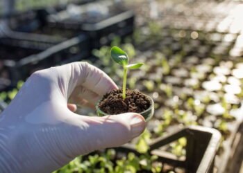 Como cultivar sem agrotóxicos e criar um jardim mais saudável