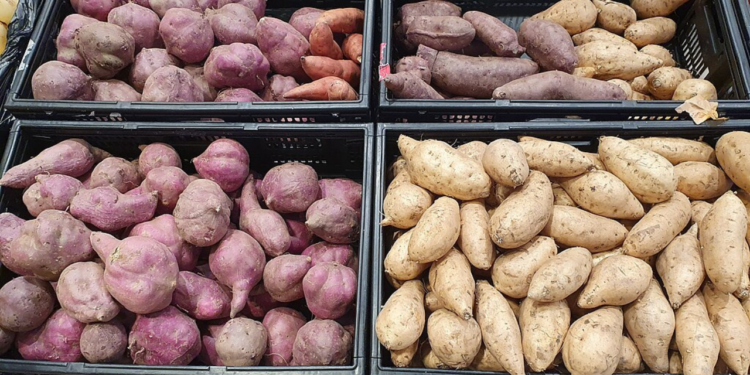 Plantar batata em casa é simples e prático, veja dicas