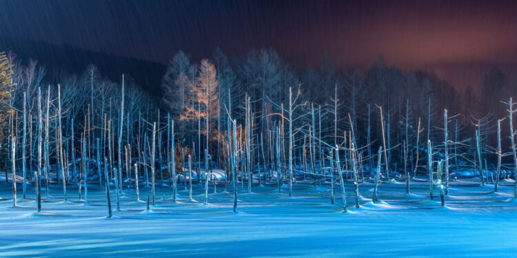 Conheça a "Colina das Sete Estrelas" um encantador vilarejo no Japão