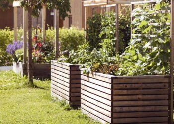 Descubra como criar canteiros elevados para um jardim mais organizado