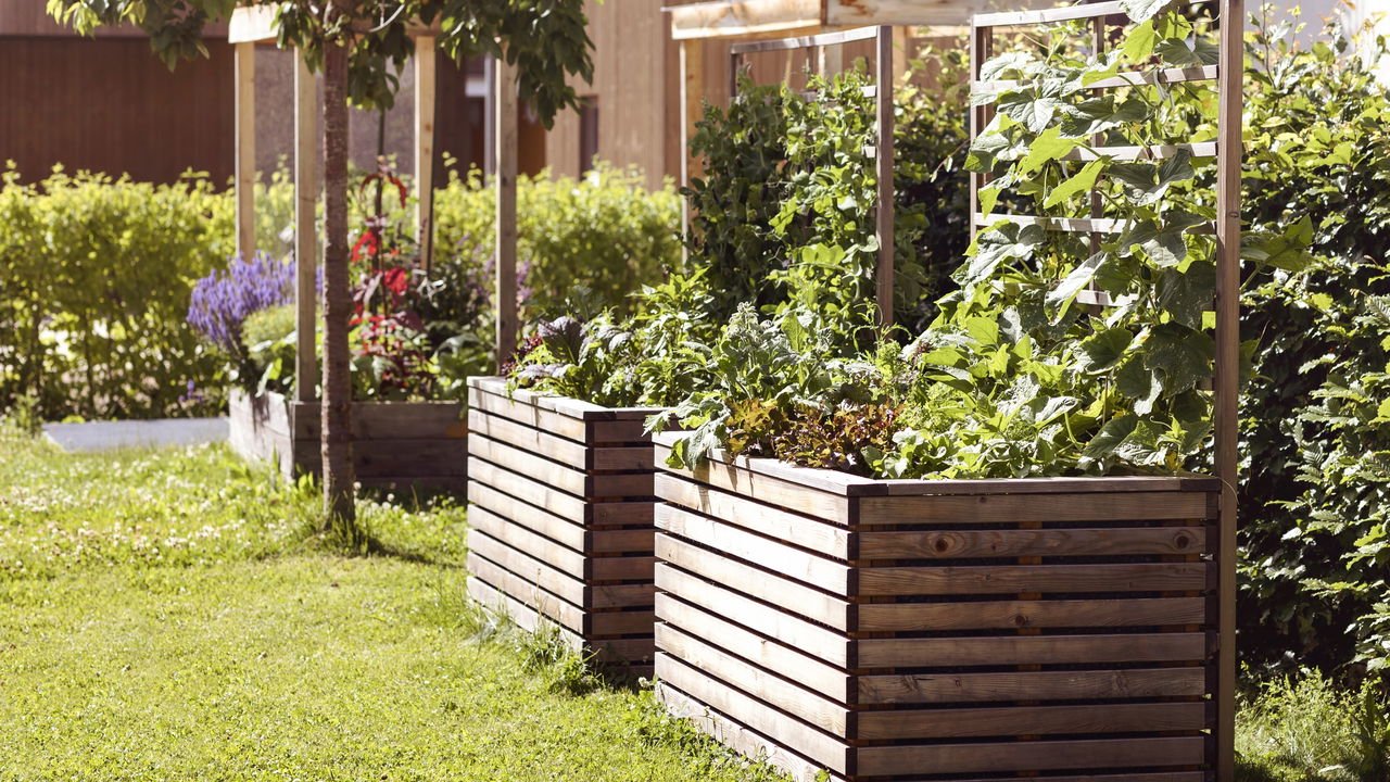 Canteiro De Jardim Elevado - Compre Hoje E Ganhe 55% De