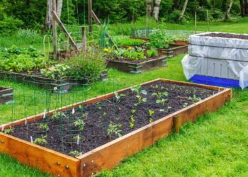 Você nunca mais vai querer plantar no chão depois disso!