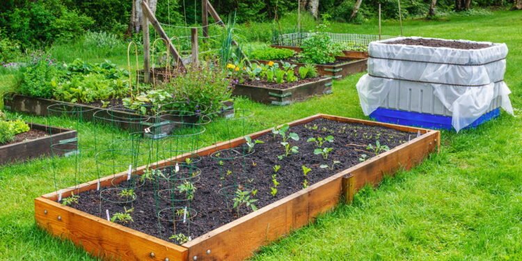 Você nunca mais vai querer plantar no chão depois disso!