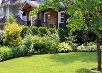 Cercas vivas! Como criar barreiras naturais com estilo e funcionalidade