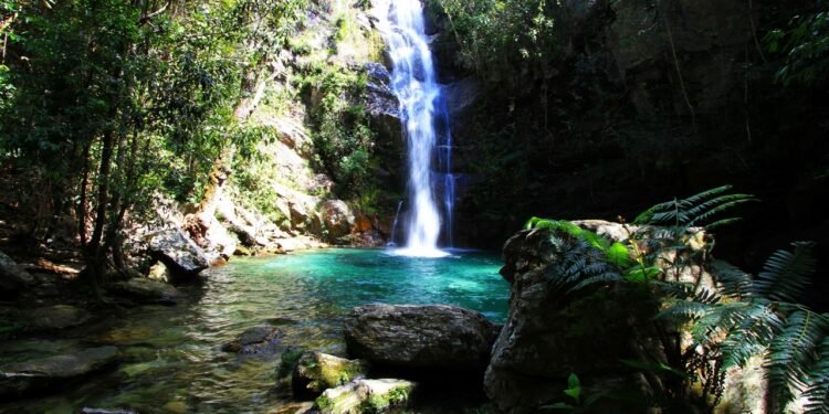 Descubra passeios imperdíveis perto de Brasília para curtir com a família toda