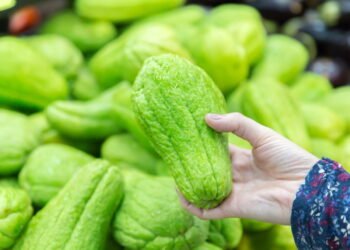 Aprenda a plantar Chuchu em casa de forma simples e prática