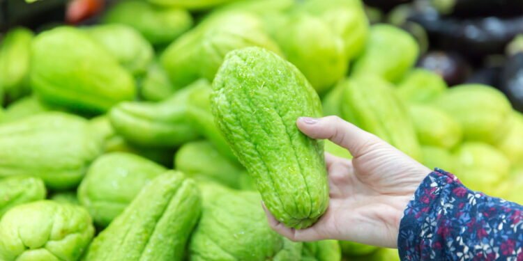 Aprenda a plantar Chuchu em casa de forma simples e prática