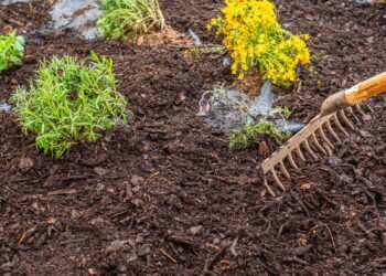 Como utilizar cobertura morta para melhorar a saúde do solo