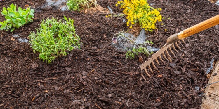 Como utilizar cobertura morta para melhorar a saúde do solo