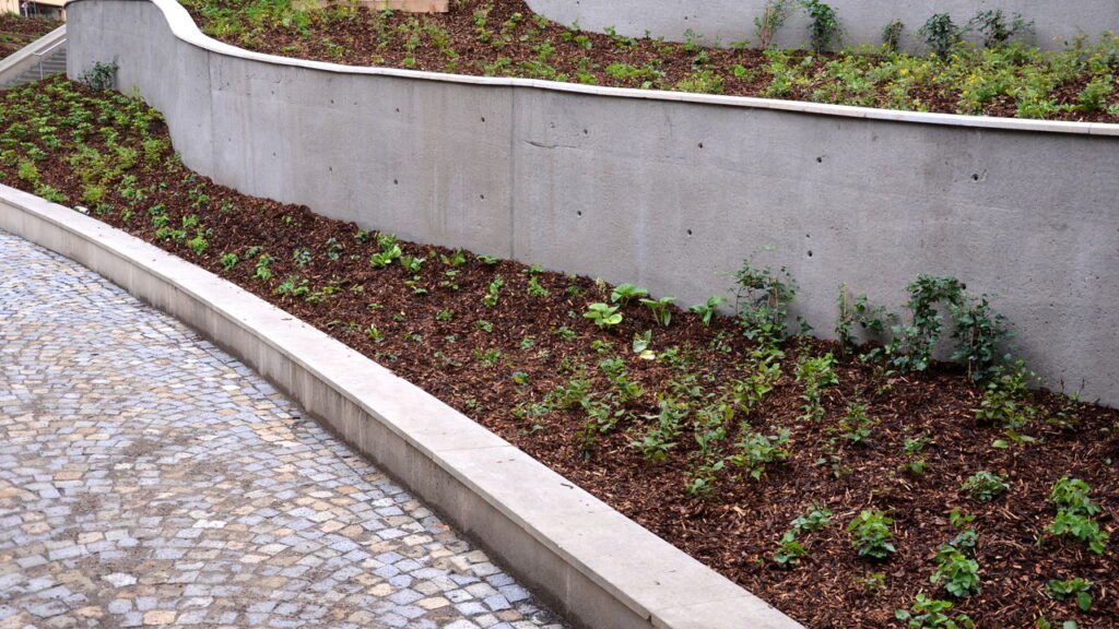 Como impedir a erosão e melhorar a drenagem do solo no seu jardim