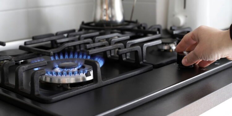 Fogão // Créditos: depositphotos.com / lady_gnori@yahoo.it