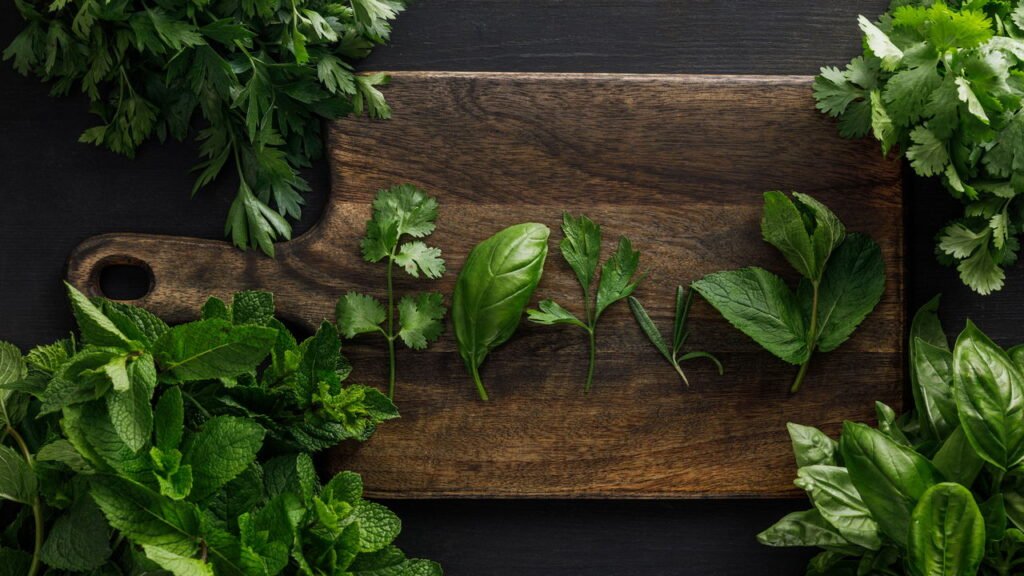 Saiba como plantar hortelã em casa de forma simples e fácil