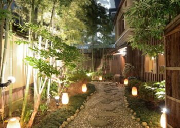 A importância do contato com a natureza para reduzir a ansiedade e o estresse