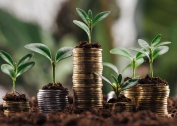 Quem investir nisso em 2025 pode multiplicar o dinheiro