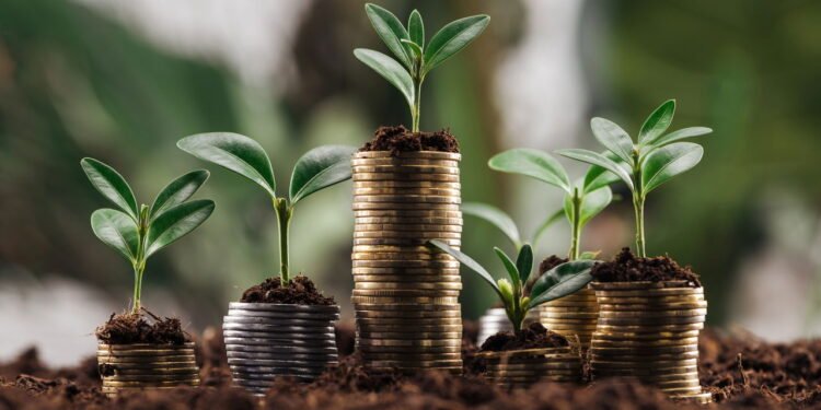 Quem investir nisso em 2025 pode multiplicar o dinheiro