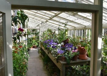 Tudo o que você precisa saber para ter seu Jardim de Inverno