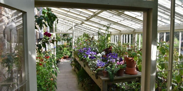 Tudo o que você precisa saber para ter seu Jardim de Inverno