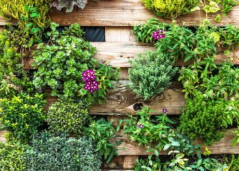 Jardim suspenso com paletes! Aprenda a criar um espaço verde sustentável