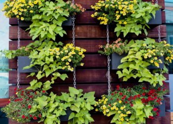 A maneira mais fácil de criar um jardim suspenso usando apenas paletes