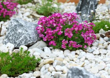 Como usar pedras naturais para melhorar a drenagem em hortas e jardins