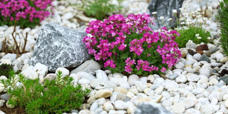Como usar pedras naturais para melhorar a drenagem em hortas e jardins