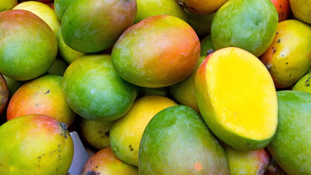 Aprenda a Cultivar Manga em Casa: Técnicas e Dicas Infalíveis