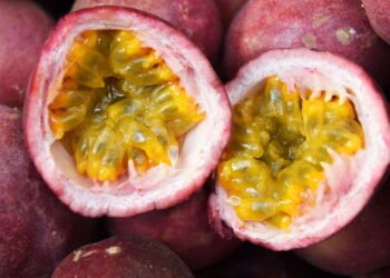 Como ter uma colheita de maracujá saborosa no seu próprio jardim