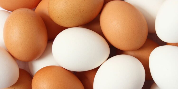 Ovos vermelhos mais caros que os brancos? Entenda o motivo