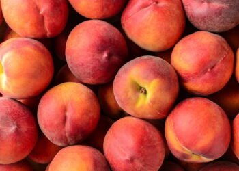 Aprenda a plantar pêssego em casa com essas dicas simples e práticas