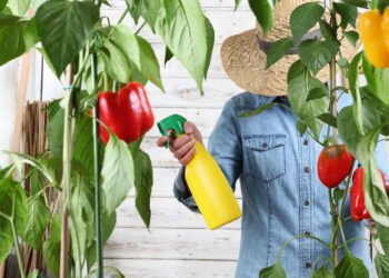 A praga silenciosa que pode destruir seu jardim e como evitá-la