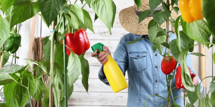 A praga silenciosa que pode destruir seu jardim e como evitá-la
