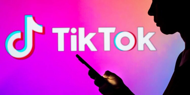 Wikipedia ganha funcionalidade do TikTok, entenda o novo aplicativo