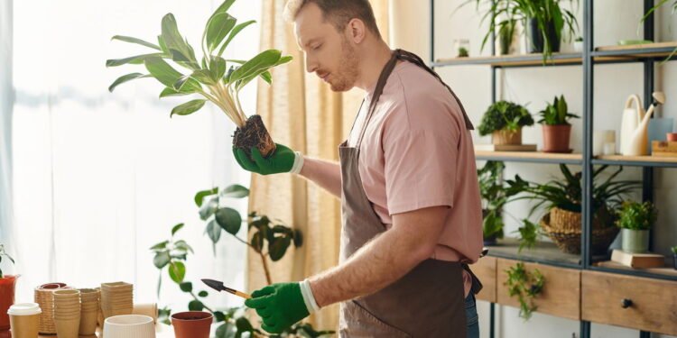 Como garantir jabuticabeiras cheias de frutos em ambientes pequenos