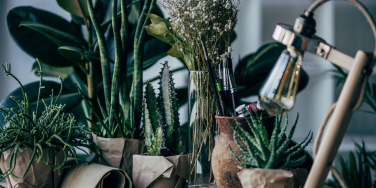 Cultivo de Plantas em Vasos em casa e tenha sua horta Créditos: depositphotos.com / ViktoriaSapata