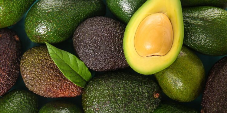 Cultivo do Abacate: Guia Completo para Produção e Cuidados